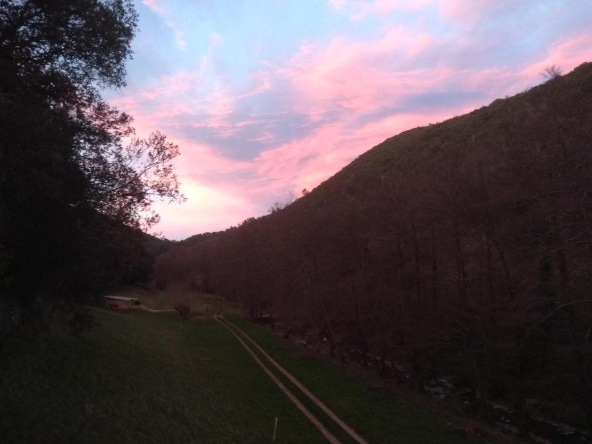 Chambre Cevennes: Piscine, Lamas, Riviere Cros  Eksteriør billede
