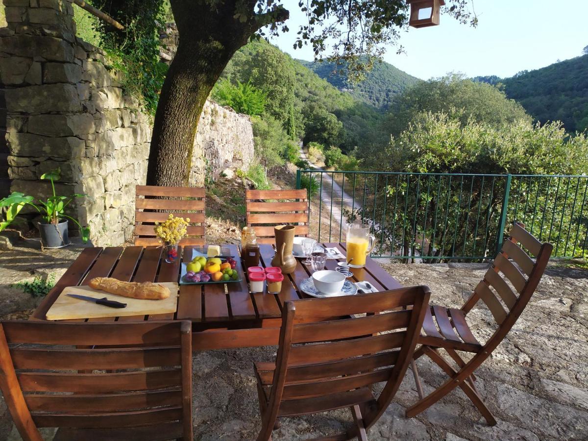 Chambre Cevennes: Piscine, Lamas, Riviere Cros  Eksteriør billede