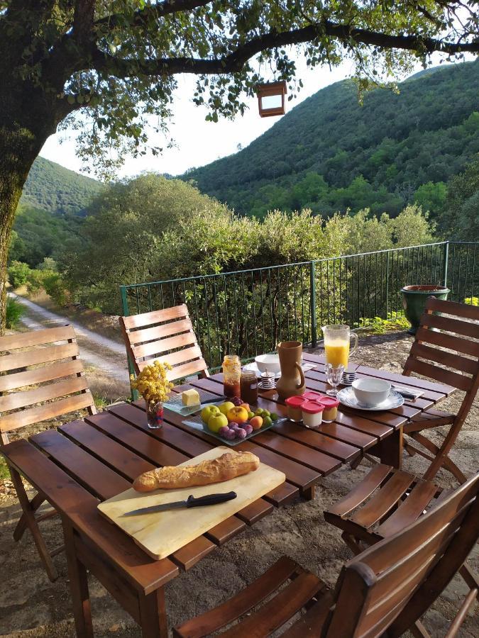 Chambre Cevennes: Piscine, Lamas, Riviere Cros  Eksteriør billede